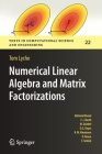 Numerical Linear Algebra and Matrix Factorizations (Texts in Computational Science and Engineering #22) By Tom Lyche Cover Image