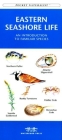 Michigan Birds: A Folding Pocket Guide to Familiar Species (Pocket Naturalist Guide) Cover Image