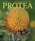 Protea: A Guide to Cultivated Species and Varieties By Lewis J. Matthews Cover Image