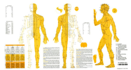 Touch for Health Meridian Chart: Acupuncture Meridian Chart By John Thie Cover Image