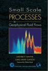 Small Scale Processes in Geophysical Fluid Flows: Volume 67 (International Geophysics #67) By Lakshmi H. Kantha, Carol Anne Clayson Cover Image