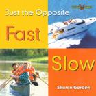 Fast Slow By Sharon Gordon Cover Image