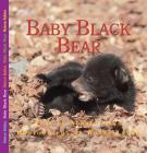 Baby Black Bear (Nature Babies) By Aubrey Lang, Wayne Lynch (Photographer) Cover Image