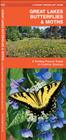 Great Lakes Butterflies & Moths: A Folding Pocket Guide to Familiar Species (Pocket Naturalist Guides) By James Kavanagh, Waterford Press Cover Image