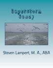 Superstorm Sandy: Thesis Cover Image