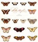 Butterflies 2019 Wall Calendar Cover Image