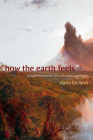 How the Earth Feels: Geological Fantasy in the Nineteenth-Century United States Cover Image