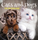 Cats and Dogs, A No Text Picture Book: A Calming Gift for Alzheimer Patients and Senior Citizens Living With Dementia By Lasting Happiness Cover Image