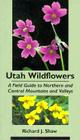 Utah Wildflowers: Field Guide to the Northern and Central Mountains and Valleys By Richard Shaw Cover Image
