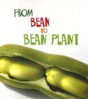 From Bean to Bean Plant By Anita Ganeri Cover Image