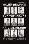 Walter Benjamin and the Idea of Natural History (Cultural Memory in the Present) Cover Image