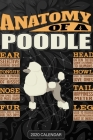 Anatomy Of A Poodle: Poodle 2020 Calendar - Customized Gift For Poodle Dog Owner By Maria Name Planners Cover Image
