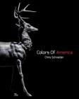 Colors Of America Cover Image