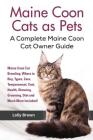 Maine Coon Cats as Pets: Maine Coon Cat Breeding, Where to Buy, Types, Care, Temperament, Cost, Health, Showing, Grooming, Diet and Much More I By Lolly Brown Cover Image