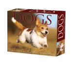Dogs 2024 6.2 X 5.4 Box Calendar Cover Image