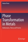 Phase Transformation in Metals: Mathematics, Theory and Practice By Nestor Perez Cover Image