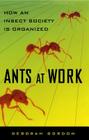 Ants At Work: How An Insect Society Is Organized By Deborah Gordon Cover Image