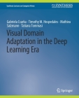 Visual Domain Adaptation in the Deep Learning Era (Synthesis Lectures on Computer Vision) By Gabriela Csurka, Timothy M. Hospedales, Mathieu Salzmann Cover Image