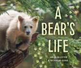 A Bear's Life (My Great Bear Rainforest #2) Cover Image