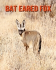 Bat Eared Fox: Incredible Pictures and Fun Facts about Bat Eared Fox By William Doyle Cover Image