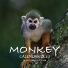 Monkey Calendar 2020: 16 Month Calendar By Golden Print Cover Image