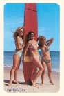 The Vintage Journal Three Woman Surfers in Bikinis Greetings from Ventura By Found Image Press (Producer) Cover Image