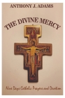 The Divine Mercy: Nine Days Catholic Prayers and Devotion Cover Image