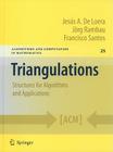 Triangulations: Structures for Algorithms and Applications (Algorithms and Computation in Mathematics #25) By Jesus de Loera, Joerg Rambau, Francisco Santos Cover Image