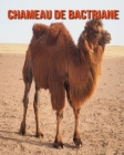 Chameau de Bactriane: Informations Etonnantes & Images Cover Image