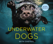 Underwater Dogs Cover Image