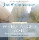 Where Angels Walk (25th Anniversary Edition): True Stories of Heavenly Visitors By Joan Wester Anderson, Gary Jansen (Foreword by) Cover Image