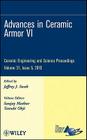 Advances in Ceramic Armor VI, Volume 31, Issue 5 (Ceramic Engineering and Science Proceedings #529) By Jeffrey J. Swab (Editor), Sanjay Mathur (Volume Editor), Tatsuki Ohji (Volume Editor) Cover Image