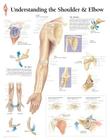 Understanding the Shoulder & Elbow Chart: Wall Chart Cover Image