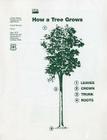 How a Tree Grows By Agriculture Dept (U S ) (Compiled by), Forest Service (U S ) (Compiled by) Cover Image
