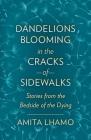 Dandelions Blooming in the Cracks of Sidwalks: Stories from the Bedside of the Dying Cover Image