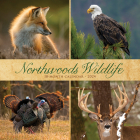 Northwoods Wildlife 2024 12 X 12 Wall Calendar By Willow Creek Press Cover Image