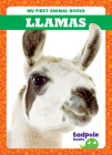 Llamas By Marie Brandle, N/A (Illustrator) Cover Image