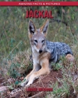Jackal: Amazing Facts & Pictures By Louise McGuire Cover Image