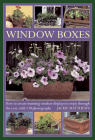 Window Boxes: How to Create Stunning Window Displays to Enjoy Throughout the Year, with 130 Photographs By Jackie Matthews Cover Image
