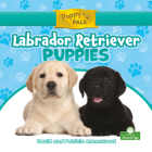 Labrador Retriever Puppies By David Armentrout, Patricia Armentrout Cover Image