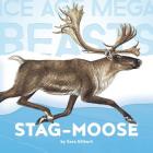 Stag-Moose (Ice Age Mega Beasts) By Sara Gilbert Cover Image