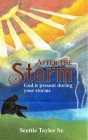 After the Storm By Scottie Taylor Cover Image