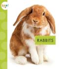 Rabbits (Spot Pets) By Mari C. Schuh Cover Image
