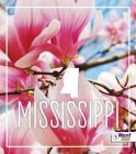 Mississippi (States) By Bridget Parker, Jordan Mills Cover Image