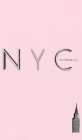 NYC iconic Chrysler building powder pink creative blank journal $ir Michael designer limited edition Cover Image