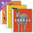 Zoo Animals (Set) Cover Image