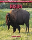 Bison: Lustige Fakten und sagenhafte Fotos By Jeanne Sorey Cover Image
