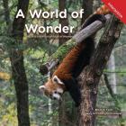 A World of Wonder: A Child's Interactive Book of Wonder By Brent A. Ford, Lucy McCullough Hazlehurst Cover Image