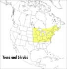 A Peterson Field Guide To Trees And Shrubs: Northeastern and north-central United States and southeastern and south-centralCanada (Peterson Field Guides) Cover Image