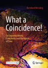 What a Coincidence!: On Unpredictability, Complexity and the Nature of Time By Bernhard Wessling Cover Image
